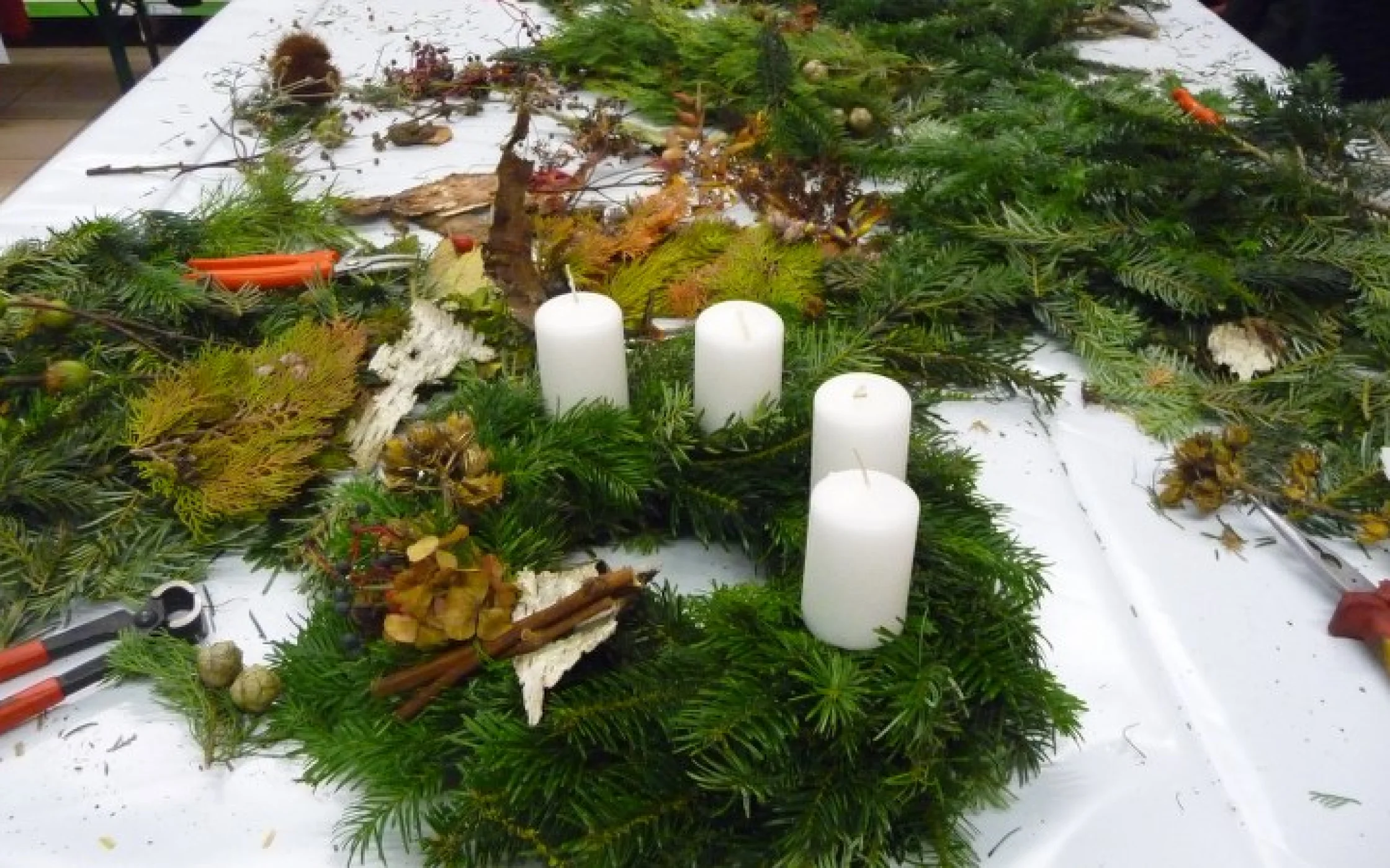 Anni Pichler und Ricky Bozen 5_800x450.JPG